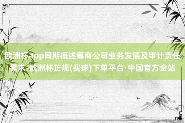 欧洲杯app同期概述筹商公司业务发展及审计责任需求-欧洲杯正规(买球)下单平台·中国官方全站
