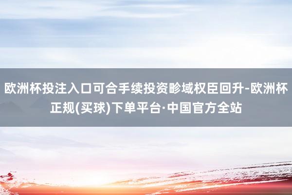 欧洲杯投注入口可合手续投资畛域权臣回升-欧洲杯正规(买球)下单平台·中国官方全站