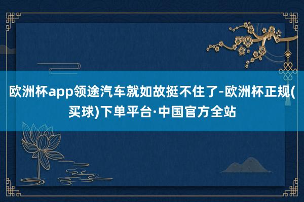 欧洲杯app领途汽车就如故挺不住了-欧洲杯正规(买球)下单平台·中国官方全站