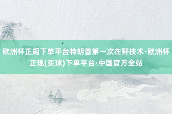 欧洲杯正规下单平台特朗普第一次在野技术-欧洲杯正规(买球)下单平台·中国官方全站