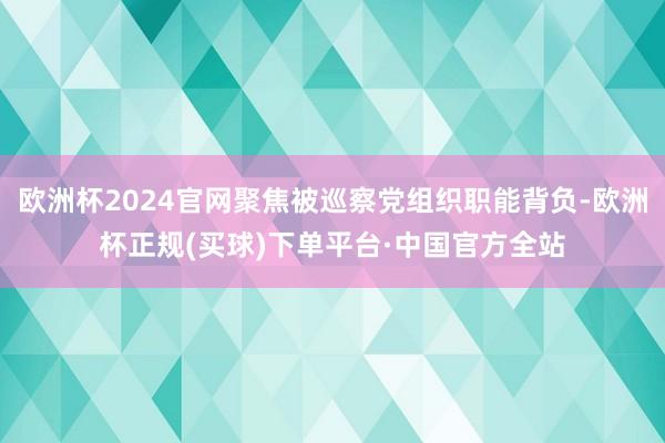 欧洲杯2024官网聚焦被巡察党组织职能背负-欧洲杯正规(买球)下单平台·中国官方全站