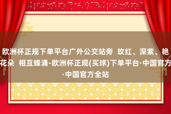 欧洲杯正规下单平台广外公交站旁  玫红、深紫、艳粉的花朵  相互蜂涌-欧洲杯正规(买球)下单平台·中国官方全站