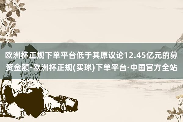 欧洲杯正规下单平台低于其原议论12.45亿元的募资金额-欧洲杯正规(买球)下单平台·中国官方全站