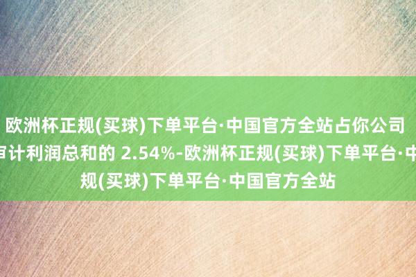欧洲杯正规(买球)下单平台·中国官方全站占你公司 2023 年经审计利润总和的 2.54%-欧洲杯正规(买球)下单平台·中国官方全站