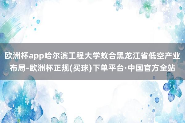 欧洲杯app哈尔滨工程大学蚁合黑龙江省低空产业布局-欧洲杯正规(买球)下单平台·中国官方全站