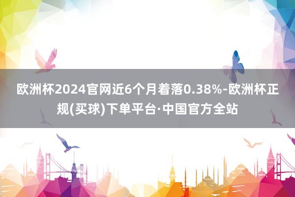 欧洲杯2024官网近6个月着落0.38%-欧洲杯正规(买球)下单平台·中国官方全站