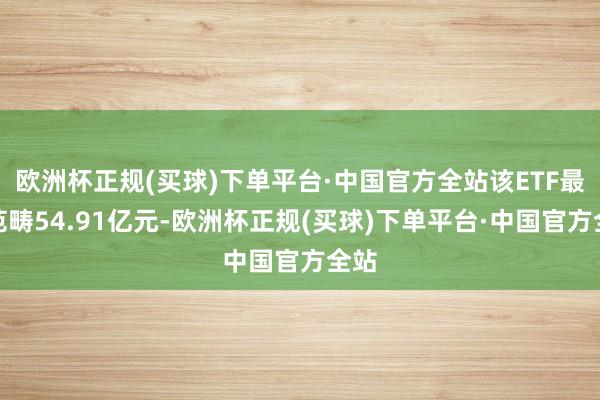 欧洲杯正规(买球)下单平台·中国官方全站该ETF最新范畴54.91亿元-欧洲杯正规(买球)下单平台·中国官方全站
