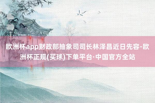 欧洲杯app财政部抽象司司长林泽昌近日先容-欧洲杯正规(买球)下单平台·中国官方全站