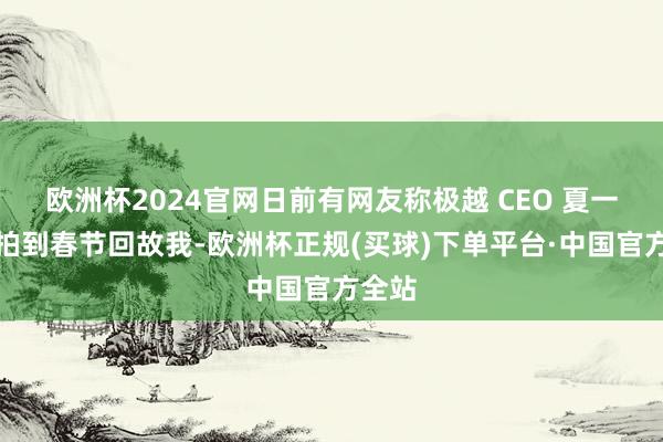 欧洲杯2024官网日前有网友称极越 CEO 夏一平被拍到春节回故我-欧洲杯正规(买球)下单平台·中国官方全站