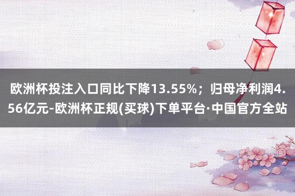 欧洲杯投注入口同比下降13.55%；归母净利润4.56亿元-欧洲杯正规(买球)下单平台·中国官方全站