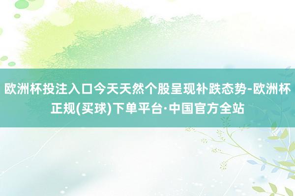 欧洲杯投注入口今天天然个股呈现补跌态势-欧洲杯正规(买球)下单平台·中国官方全站