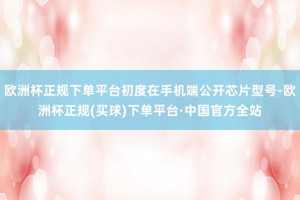 欧洲杯正规下单平台初度在手机端公开芯片型号-欧洲杯正规(买球)下单平台·中国官方全站