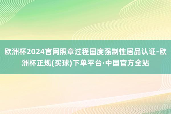 欧洲杯2024官网照章过程国度强制性居品认证-欧洲杯正规(买球)下单平台·中国官方全站