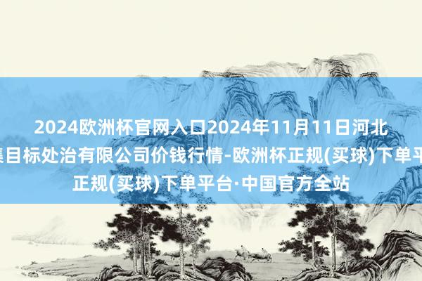 2024欧洲杯官网入口2024年11月11日河北唐山市荷花坑市集目标处治有限公司价钱行情-欧洲杯正规(买球)下单平台·中国官方全站