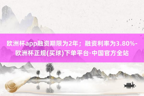 欧洲杯app融资期限为2年;融资利率为3.80%-欧洲杯正规(买球)下单平台·中国官方全站