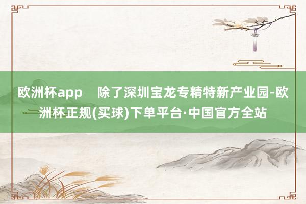 欧洲杯app    除了深圳宝龙专精特新产业园-欧洲杯正规(买球)下单平台·中国官方全站