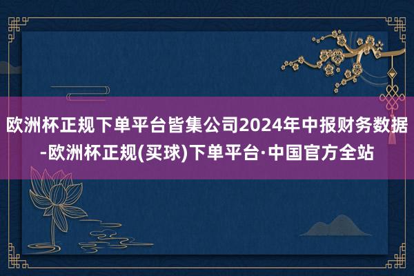 欧洲杯正规下单平台皆集公司2024年中报财务数据-欧洲杯正规(买球)下单平台·中国官方全站