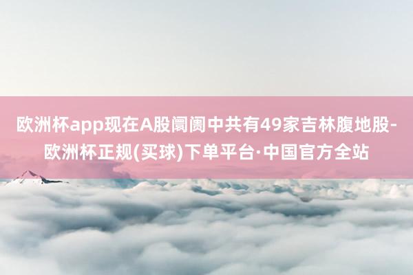 欧洲杯app现在A股阛阓中共有49家吉林腹地股-欧洲杯正规(买球)下单平台·中国官方全站