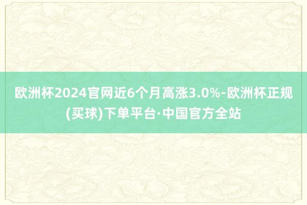 欧洲杯2024官网近6个月高涨3.0%-欧洲杯正规(买球)下单平台·中国官方全站